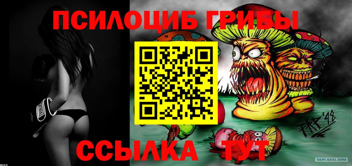 Галлюциногенные грибы Psilocybine cubensis Кулебаки