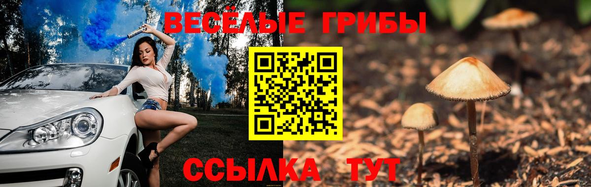 Псилоцибиновые грибы MAGIC MUSHROOMS  Вход с VPN  Кулебаки 